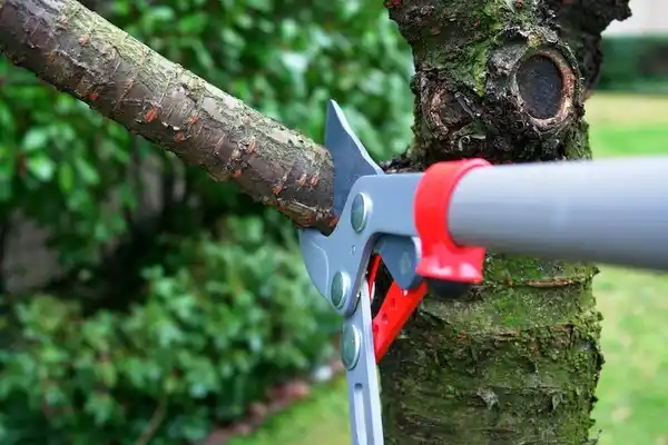 tree services Bakerstown